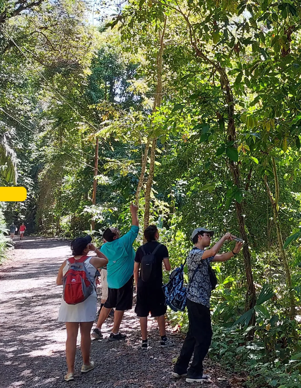 San Luis Adventure Park: Hanging Bridges